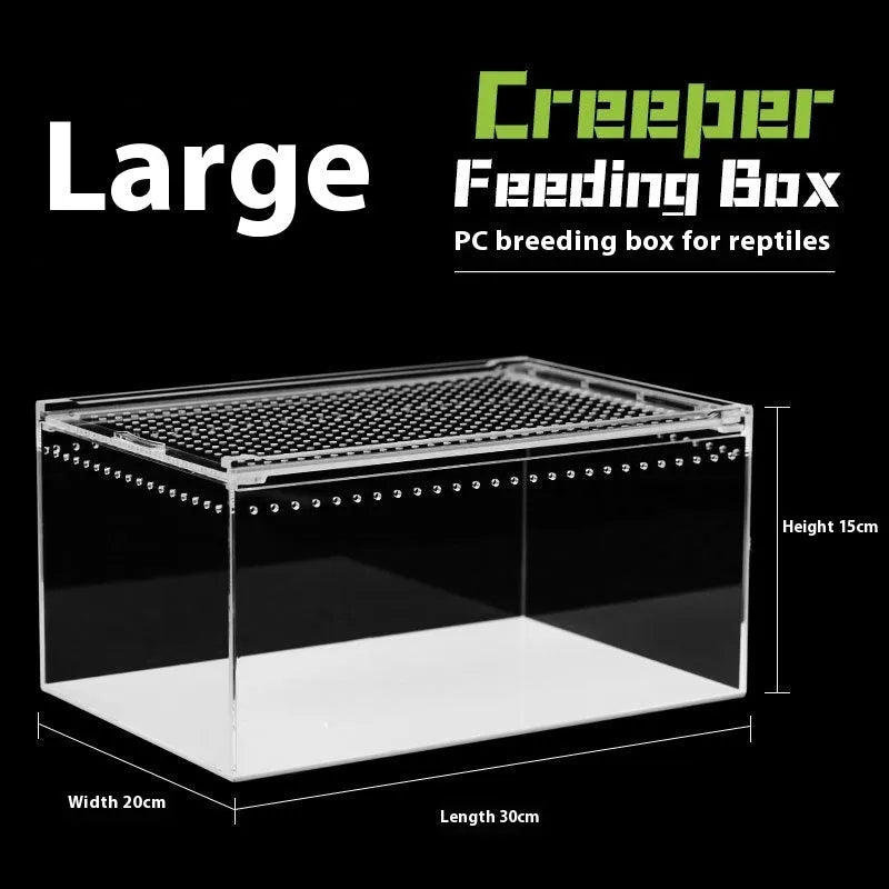 Transparent acrylic reptile feeding box showing ventilation design and clear PC construction