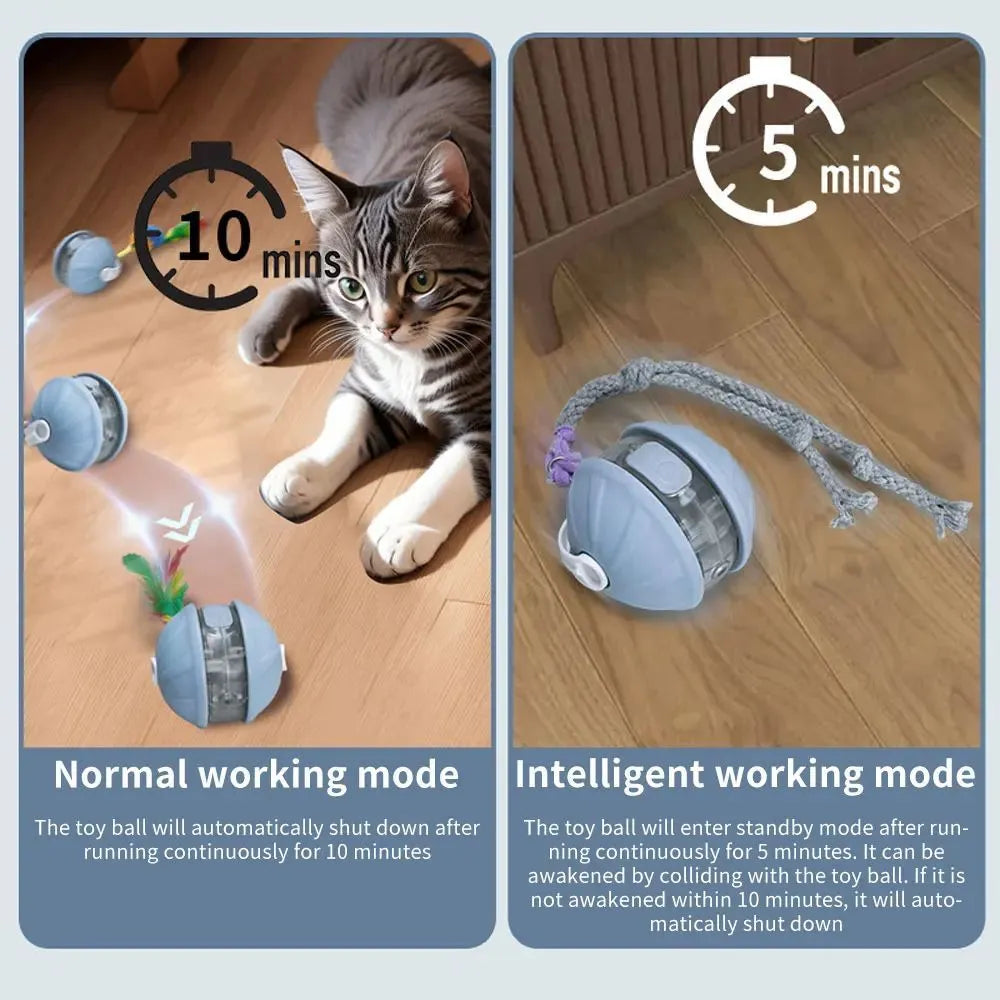 Upgrade cat interactive ball toy with faux tail, laser pointer, and voice reminder in colour options