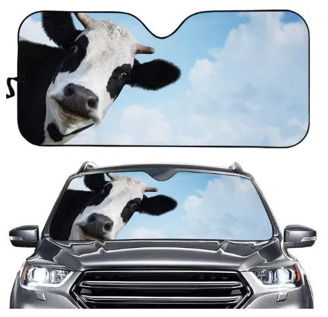 Telescopic aluminium foil car sun shield expanded on a dashboard