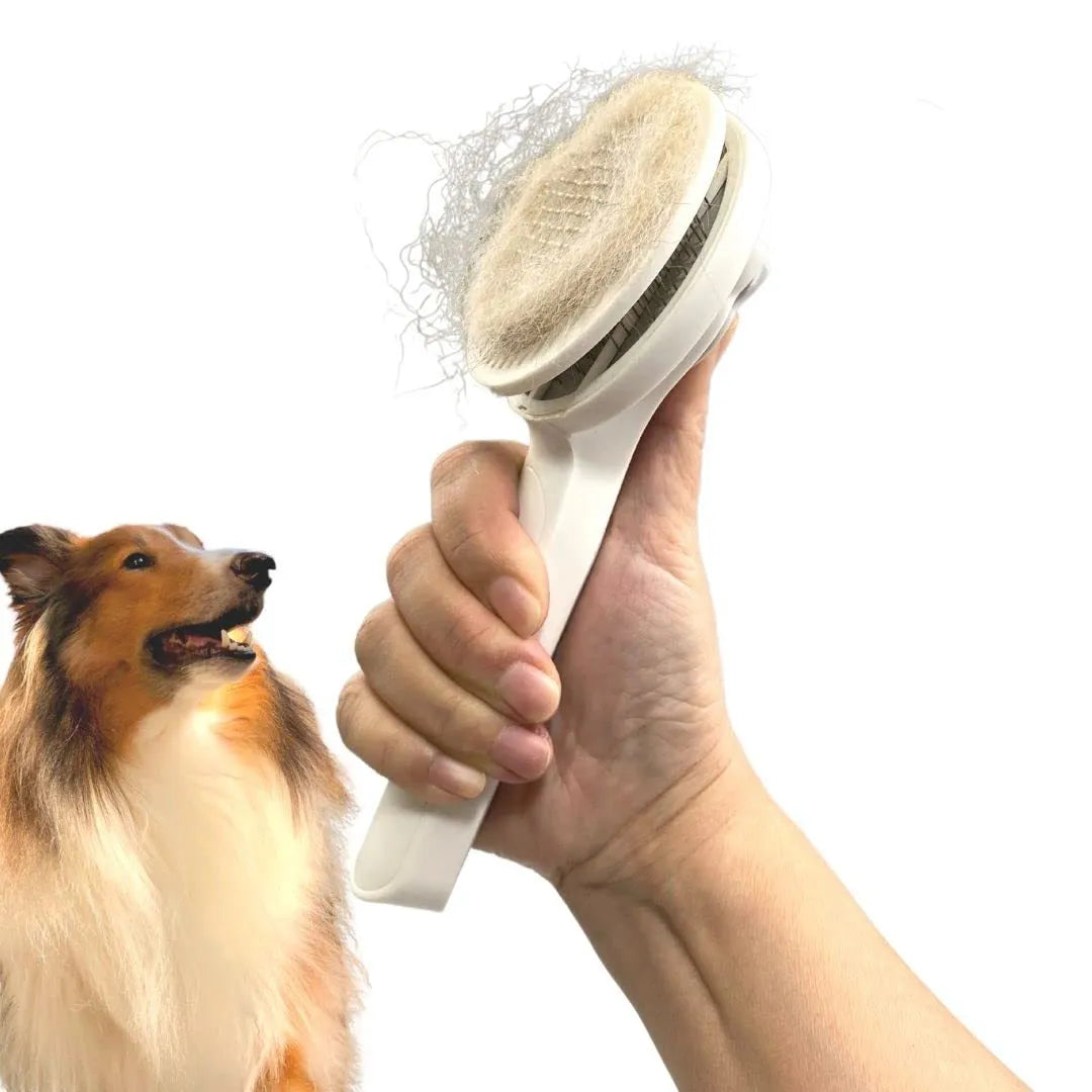 Blue self-cleaning slicker brush for pet grooming with ergonomic rubber handle