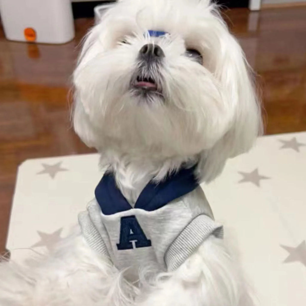 Blue and white slim-fitting pet hoodie with reflective letters for dogs and cats.
