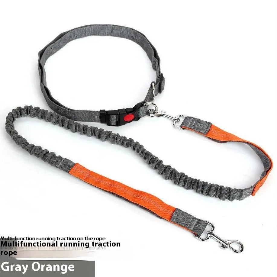 Outdoor running dog leash with reflective strip and elastic sling in a two-tone colour combination.