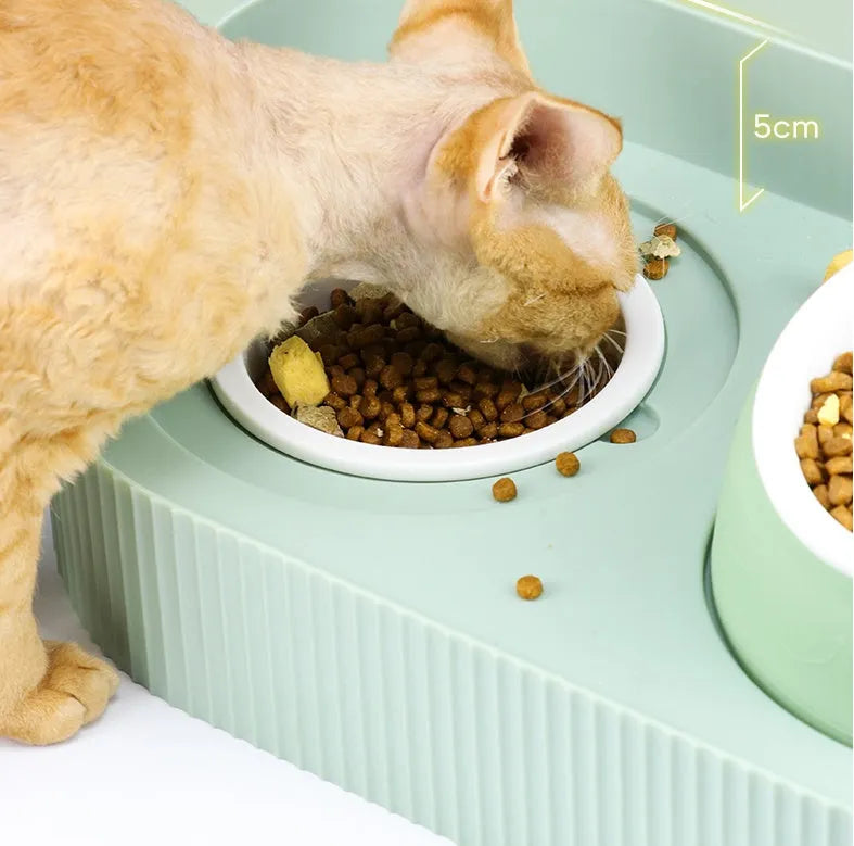 Green double-layer ceramic cat food bowl with raised design for cervical spine protection on a light background