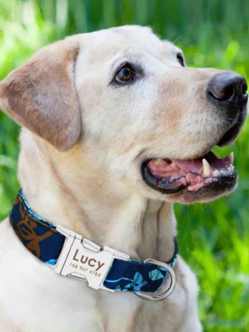 A general dog collar shown in black, green, and rose red, illustrating the three size options: S, M, and L.