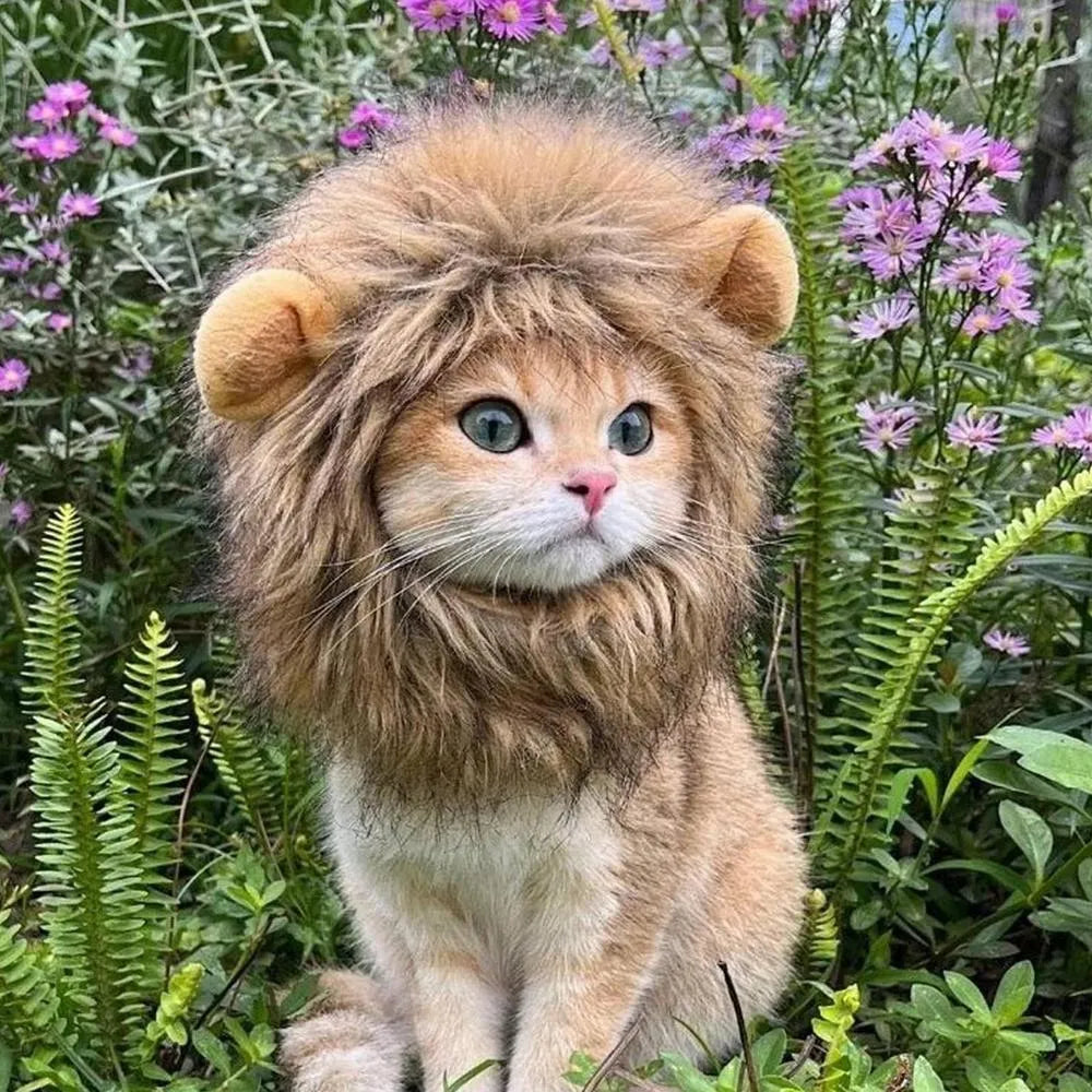Lion mane wig for cat on pet with plush ears and fluffy artificial hair, showing adjustable elastic band.