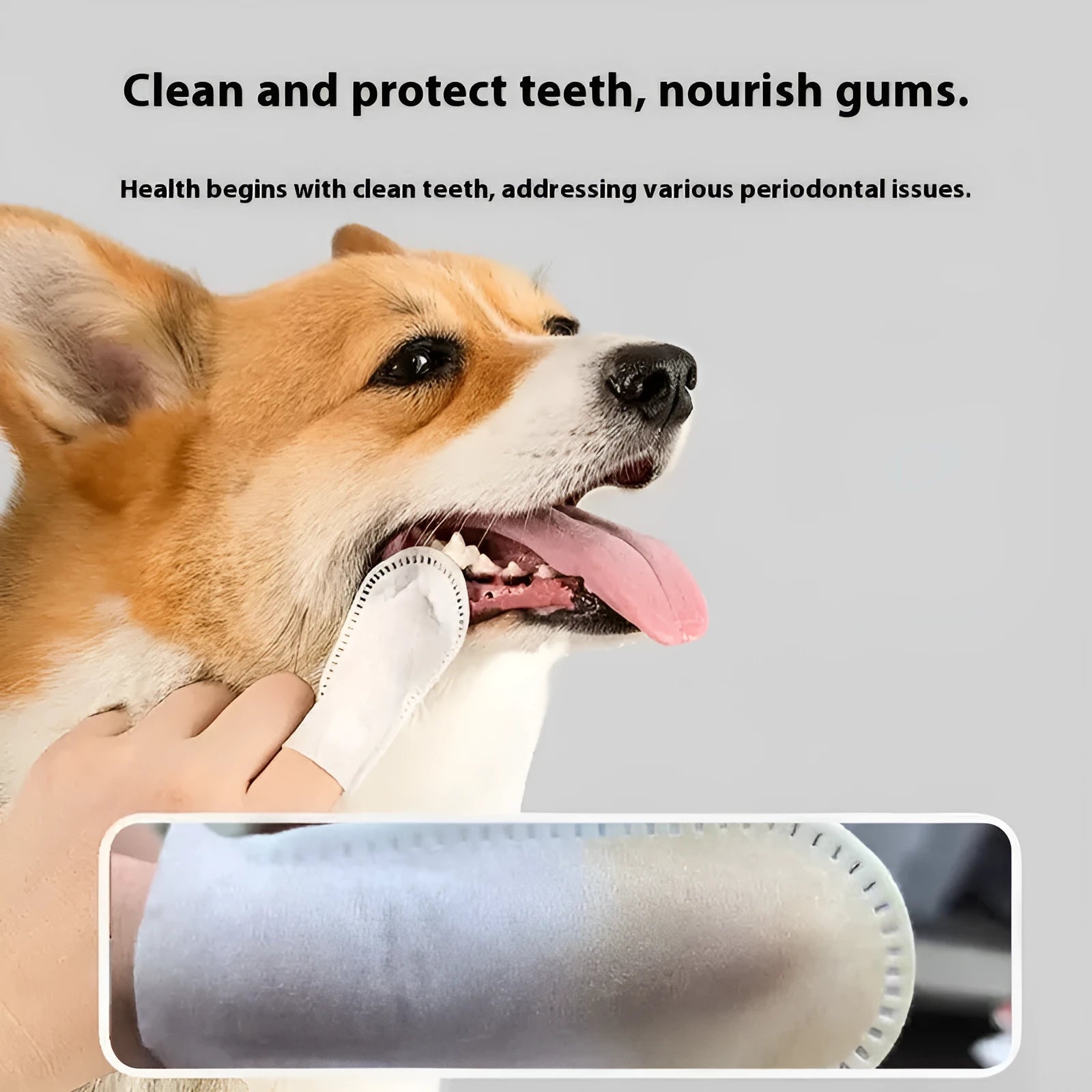Pack of 50 non-woven pet dental finger cots for cleaning cat and dog teeth