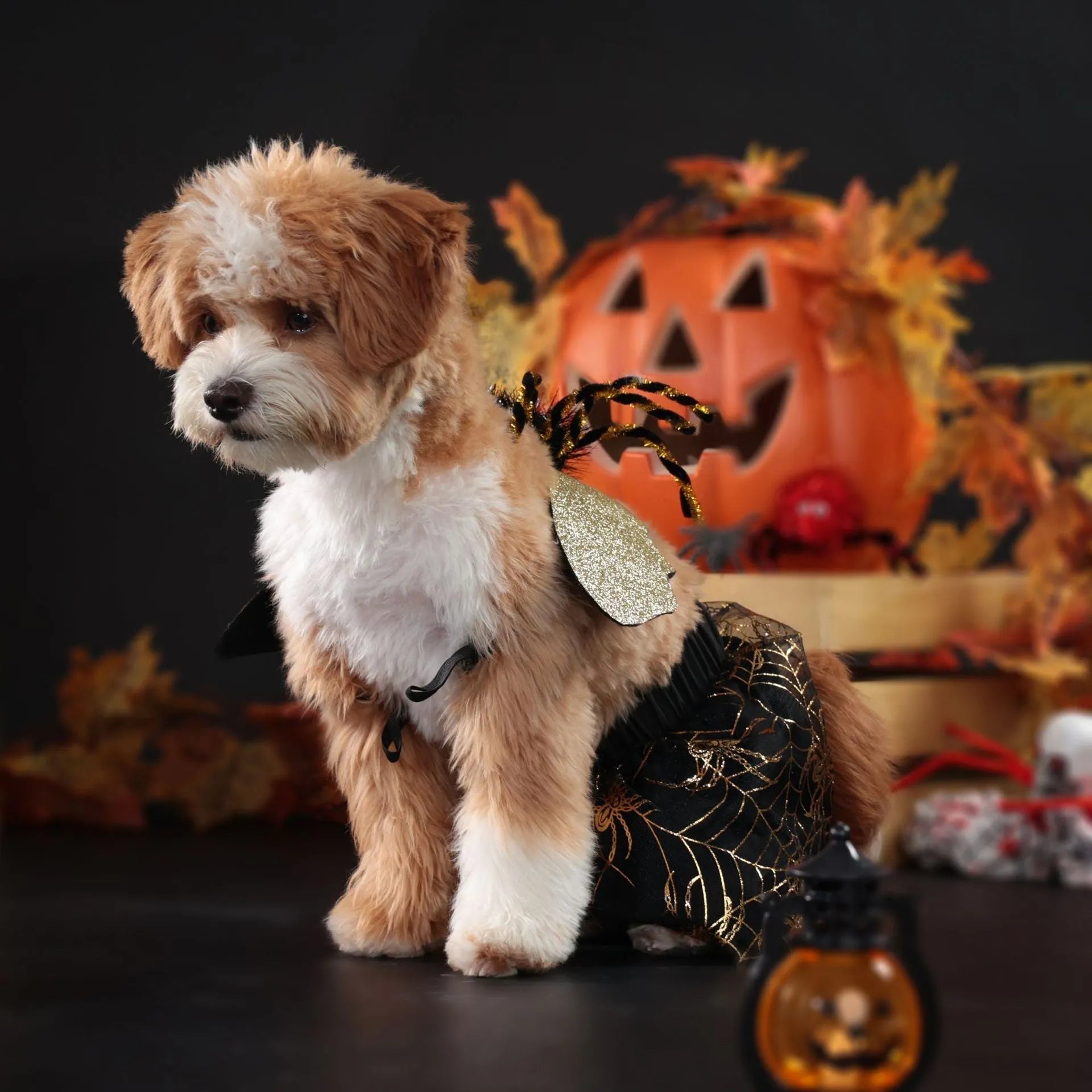 A dog wearing a Halloween costume suit in sizes from small to extra large.