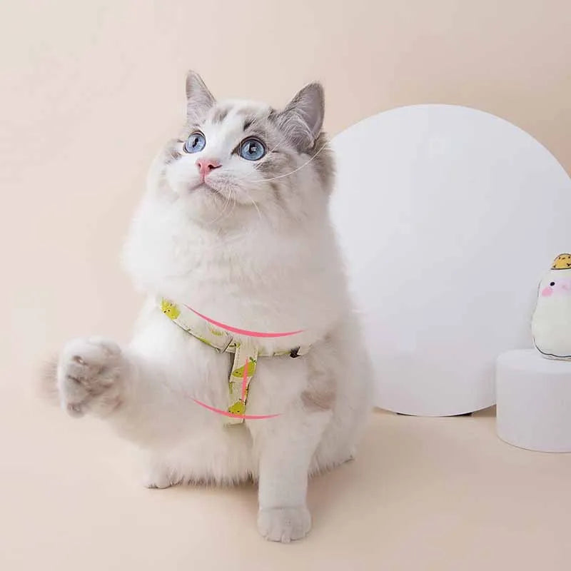 Fruit print dog collar and leash set in polyester, adjustable collar 26-41cm or 30-55cm, 1.2m leash, green, pink or yellow
