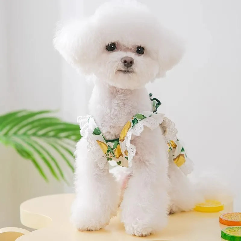 Rock yellow lemon polyester dog skirt with thin breathable straps princess style