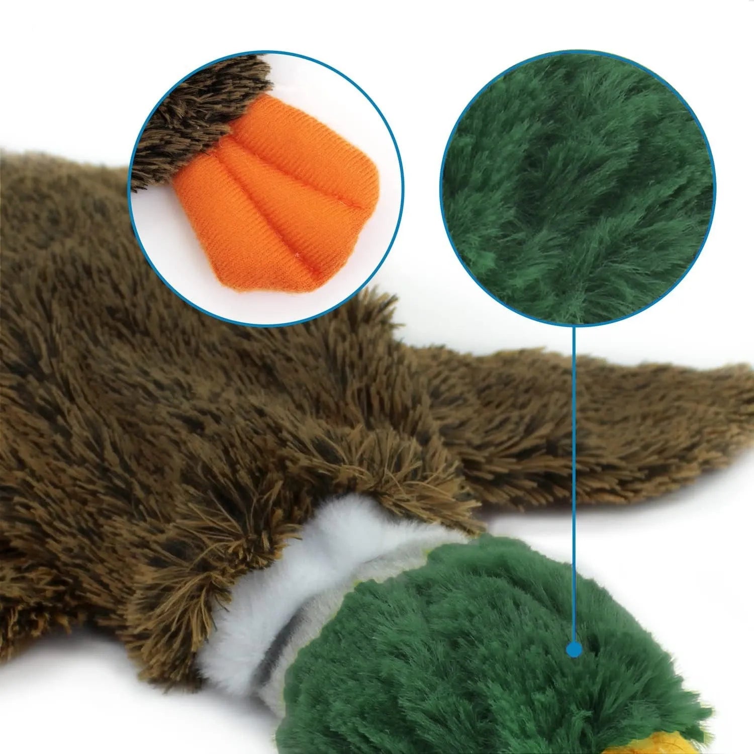Green wild duck stuffless dog chew toy with squeakers and bottle insert cavity.