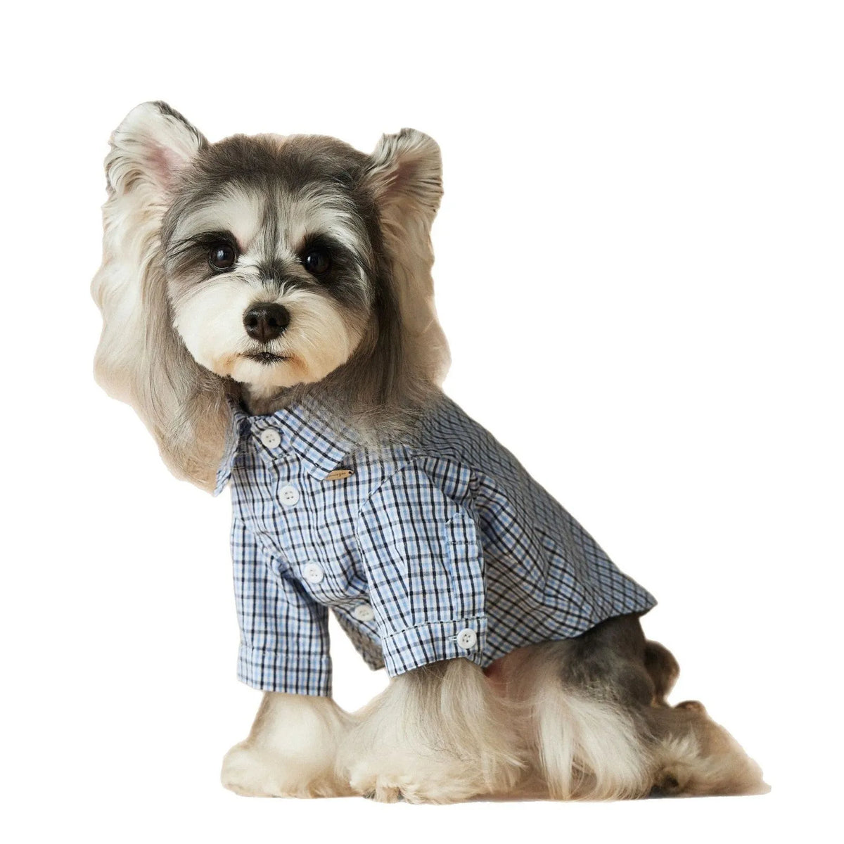 Light blue plaid cotton summer dog shirt for small breeds with XS to XXL sizing