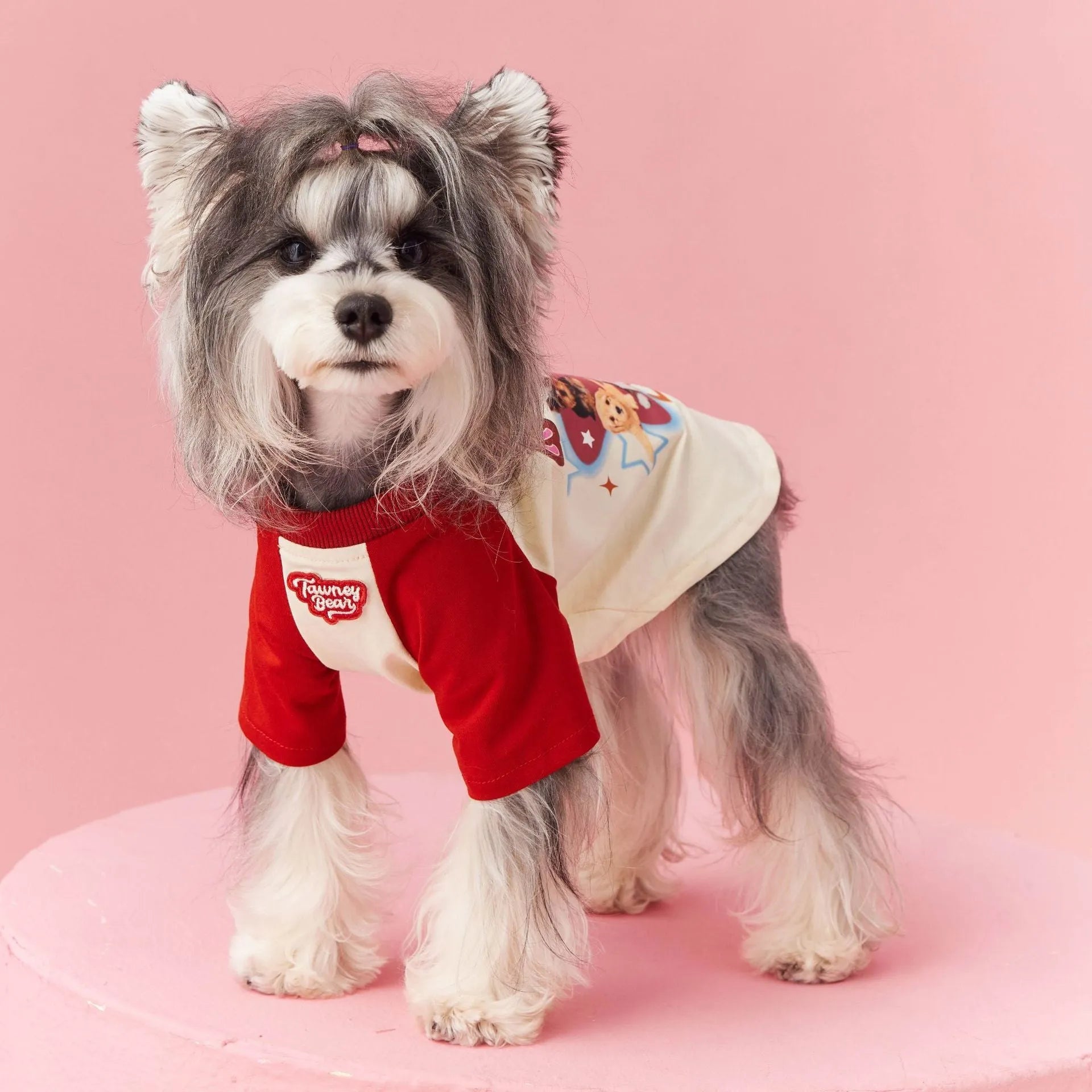 Red cotton dog summer clothes with contrast embroidery, shown on a mannequin.