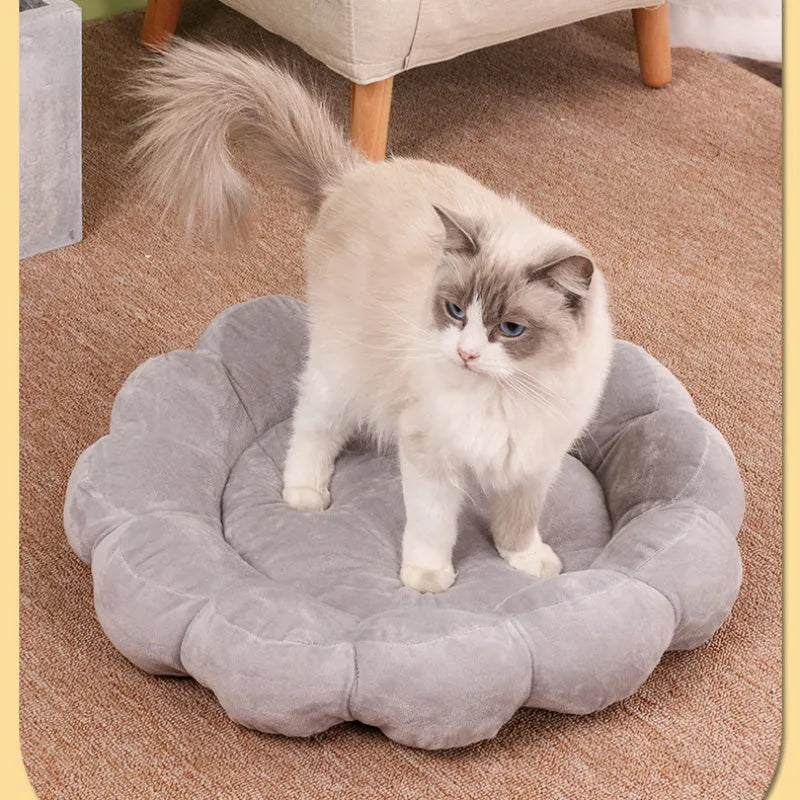 Blue half-surrounded plush pet bed with petal pattern, measuring 50x50cm, for dogs and cats.