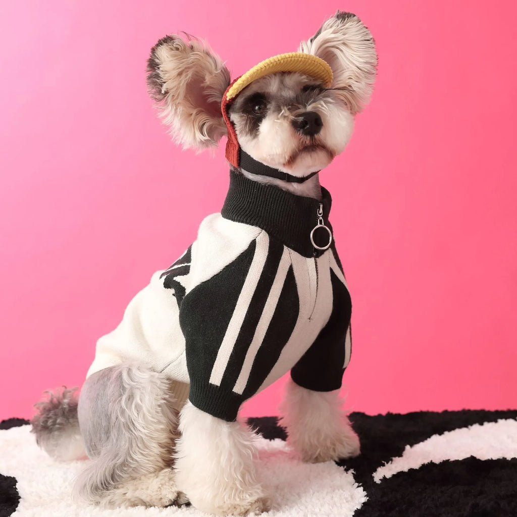 Men's dog sports sweater cardigan in wool for puppies, available in dark green or red