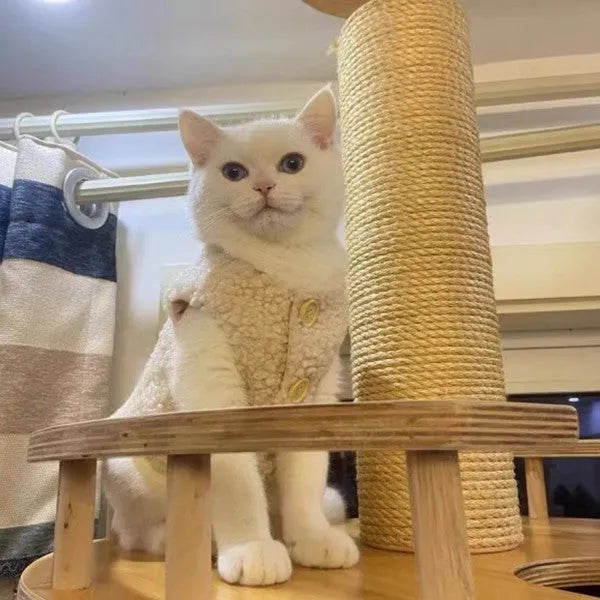Cat warm lamb wool vest winter cute pet clothing polar fleece ins style in apricot colour
