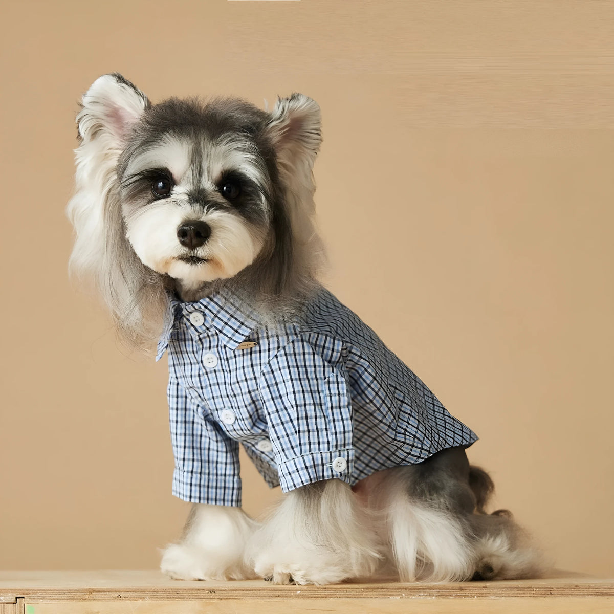 Light blue plaid cotton summer dog shirt for small breeds with XS to XXL sizing