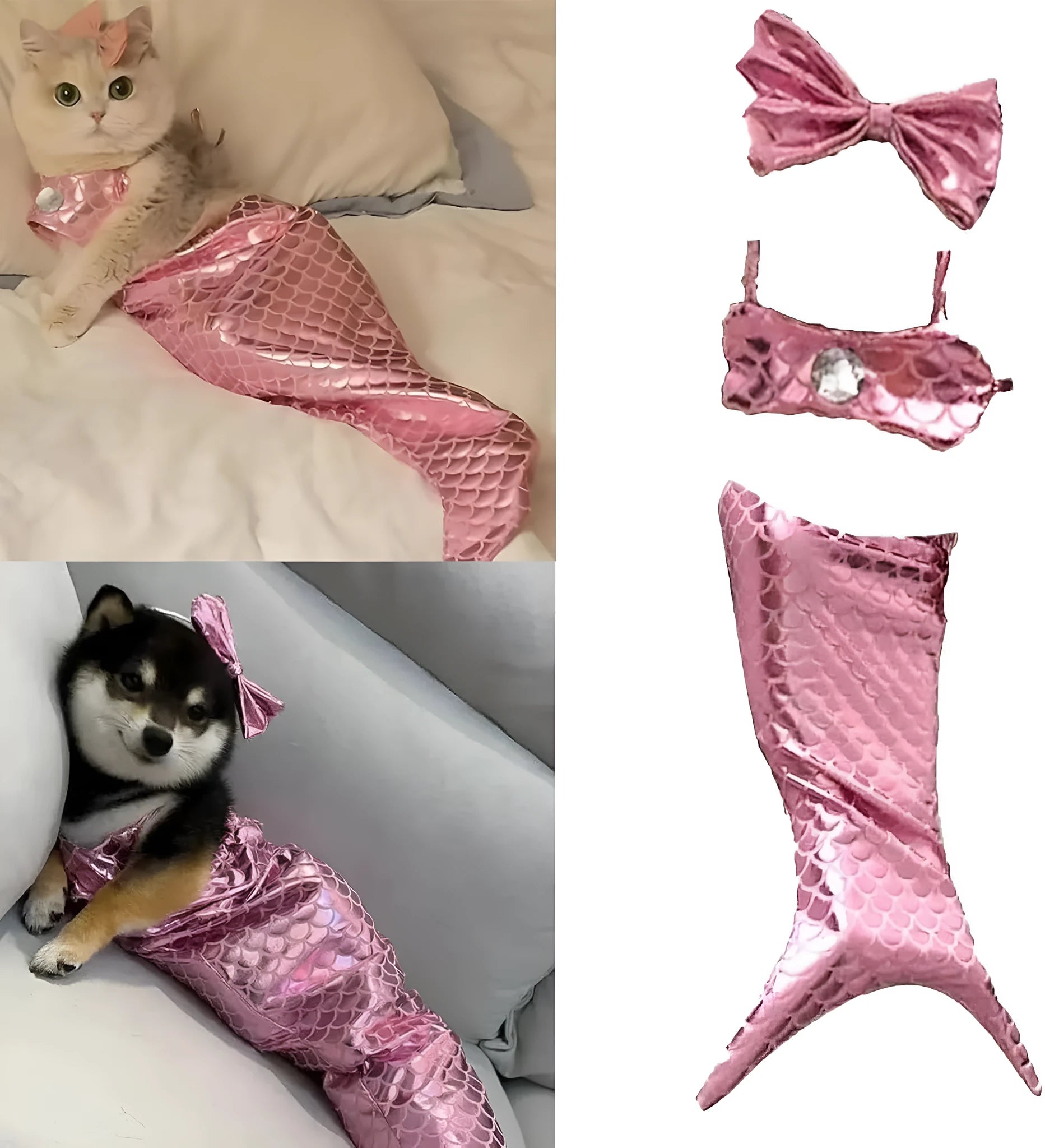 Blue or pink mermaid costume with scaly tail and bow on a small cat or dog