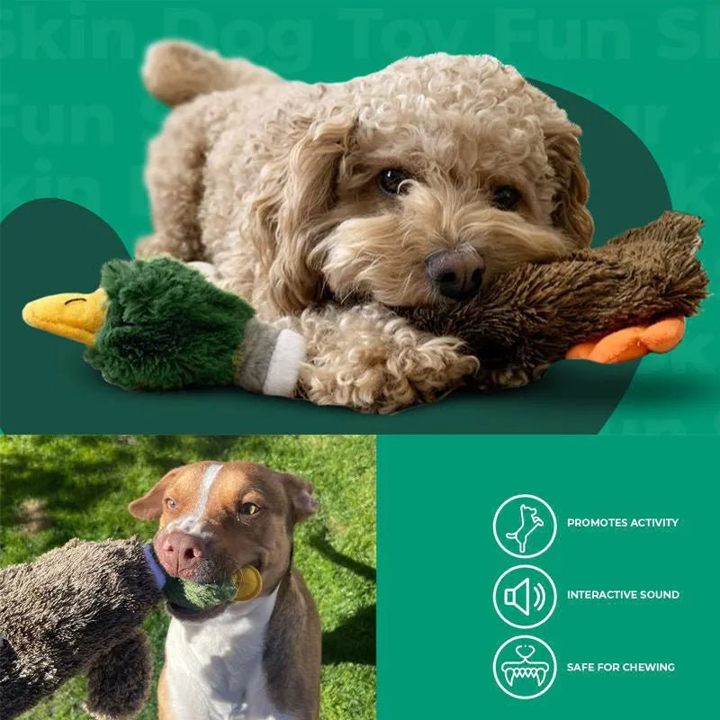 Green wild duck stuffless dog chew toy with squeakers and bottle insert cavity.