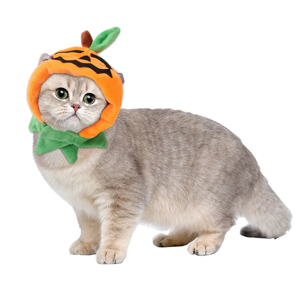 Orange plush pumpkin costume cloak for a dog or cat on a mannequin, showing double-sided design.