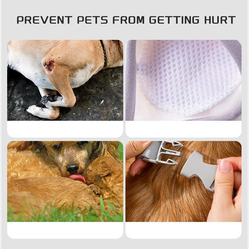 Adjustable dog knee protector guard with thick elbow pad and matching scarf in blue, on a medium-sized dog.
