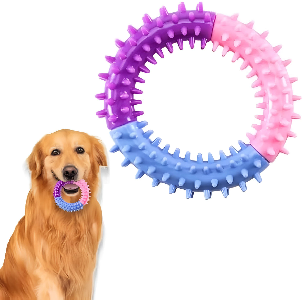 Rubber ring dog chew toy, 10cm, 32g, for puppy teething and interactive training, blue pink purple or red yellow blue