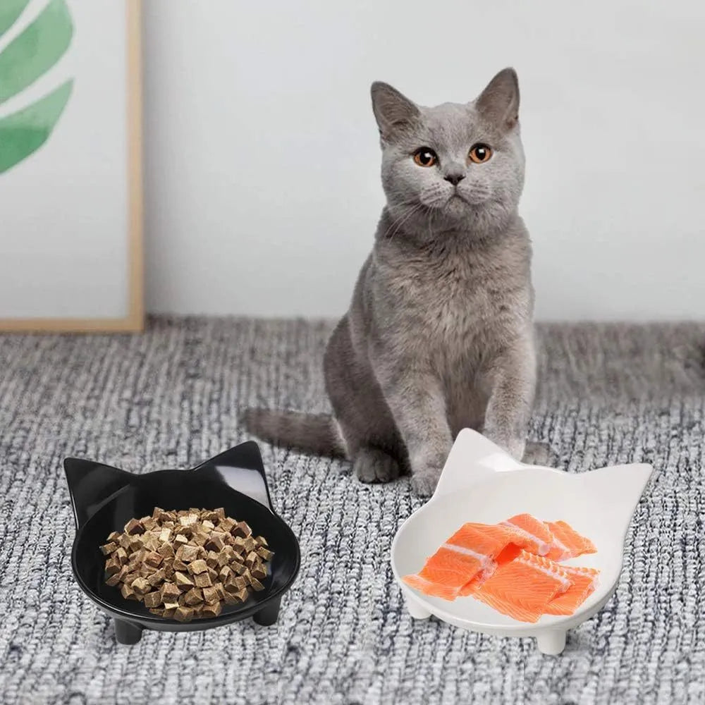 White shallow cat bowl with non-slip rubber base on a table.