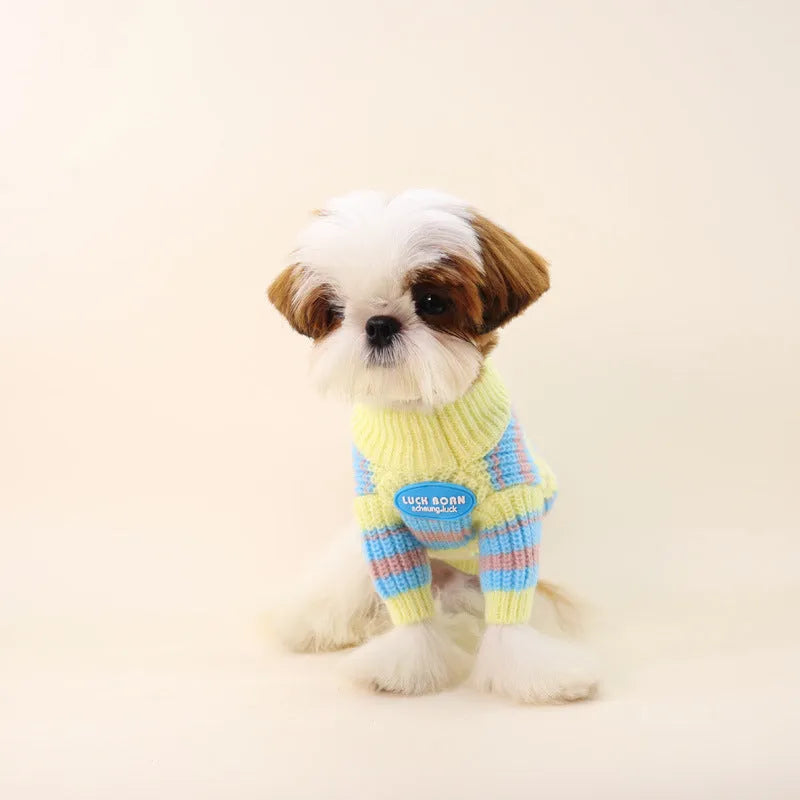 Blue and yellow striped wool dog sweater for small breed dogs in casual winter style