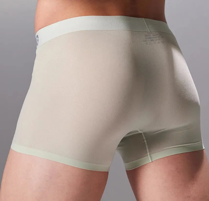 Seamless antibacterial fitness shorts in four colours with dual-fabric construction for workouts