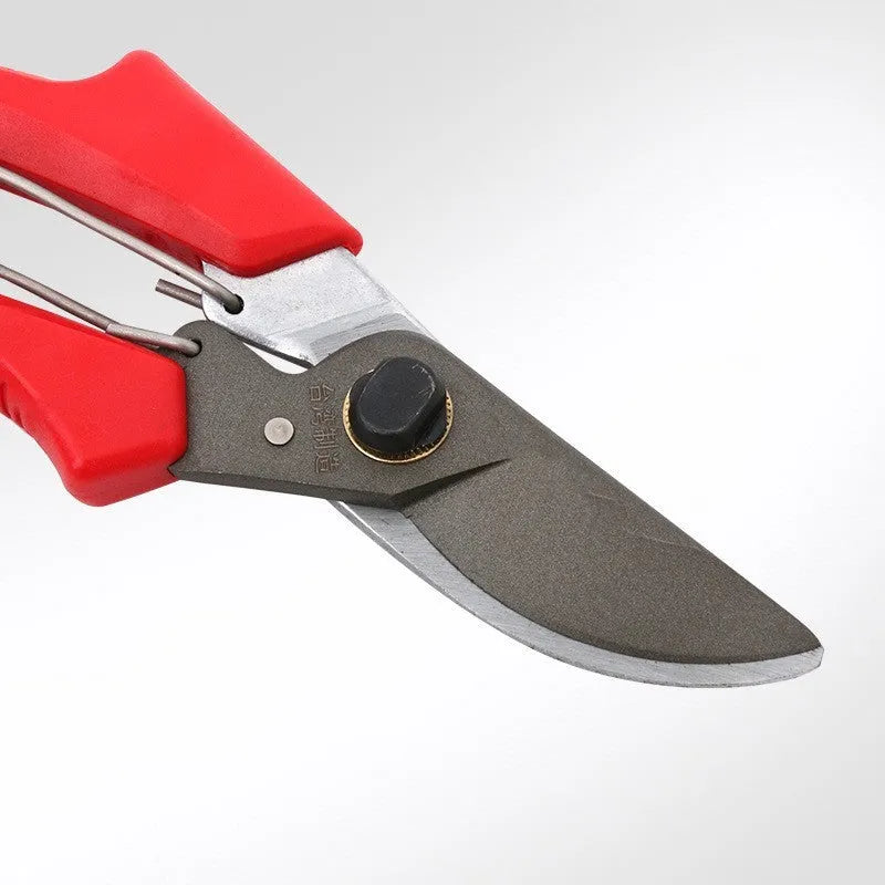 Red-handled SK5 steel pruning scissors 200mm total length 50mm blade on white background