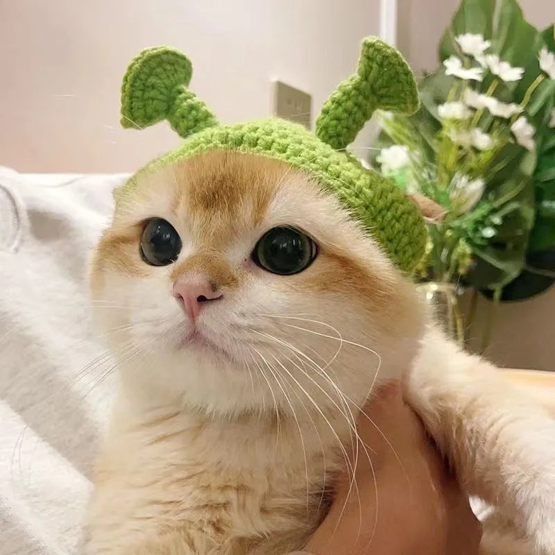 Handmade knitted green acrylic hat for small cat or dog, average size, casual style