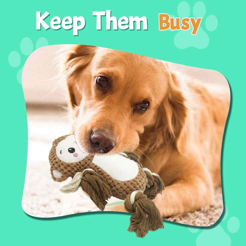 Stuffed squeaky dog toys bundle showing lion and monkey plush designs with internal squeakers