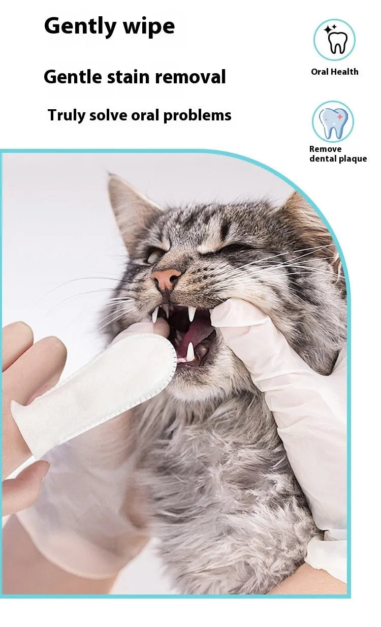 Pack of 50 non-woven pet dental finger cots for cleaning cat and dog teeth