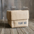 Cement brown paper box style flowerpot with bottom drainage holes for indoor planting