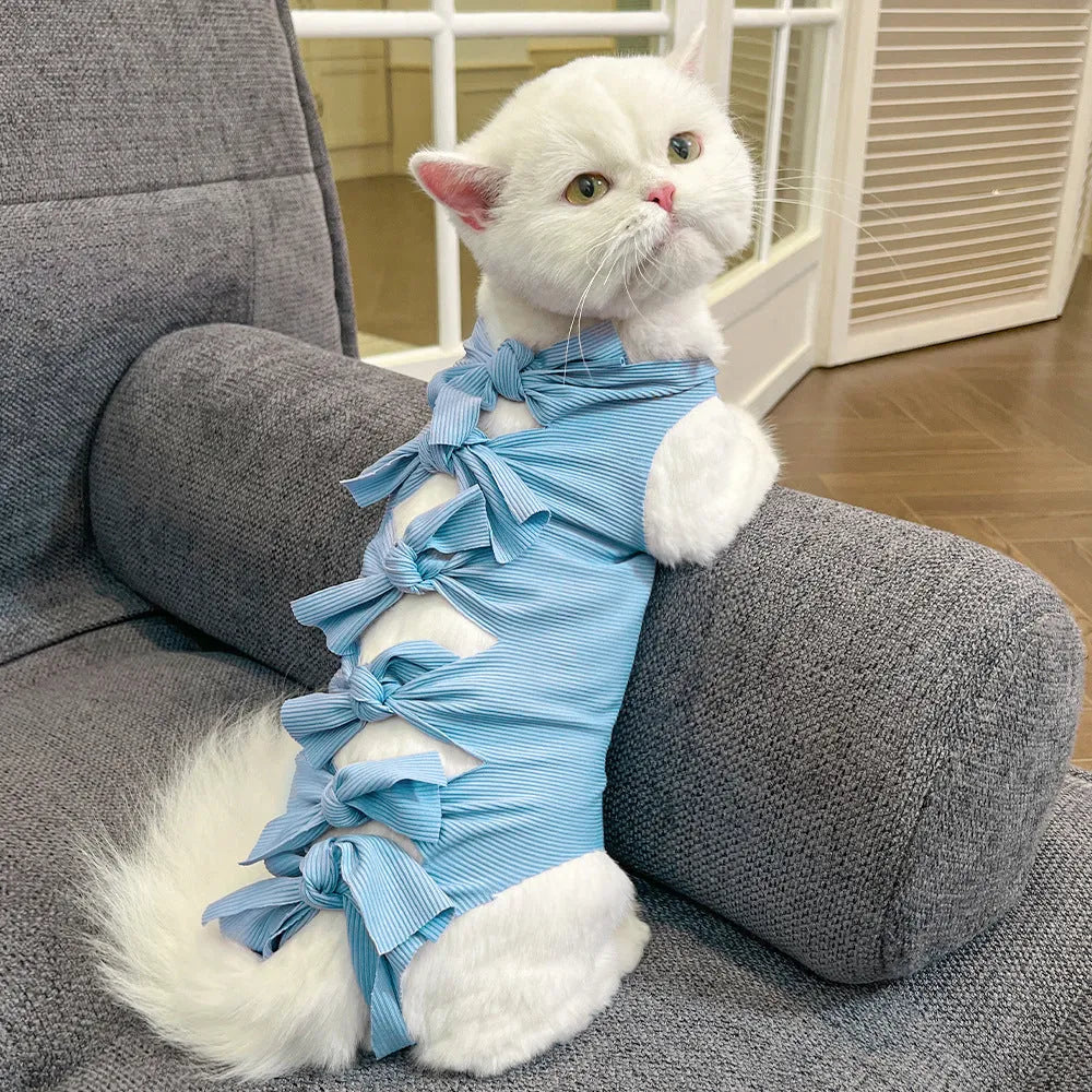 Cat wearing blue polyester recovery suit with lace-up back closure after sterilisation surgery