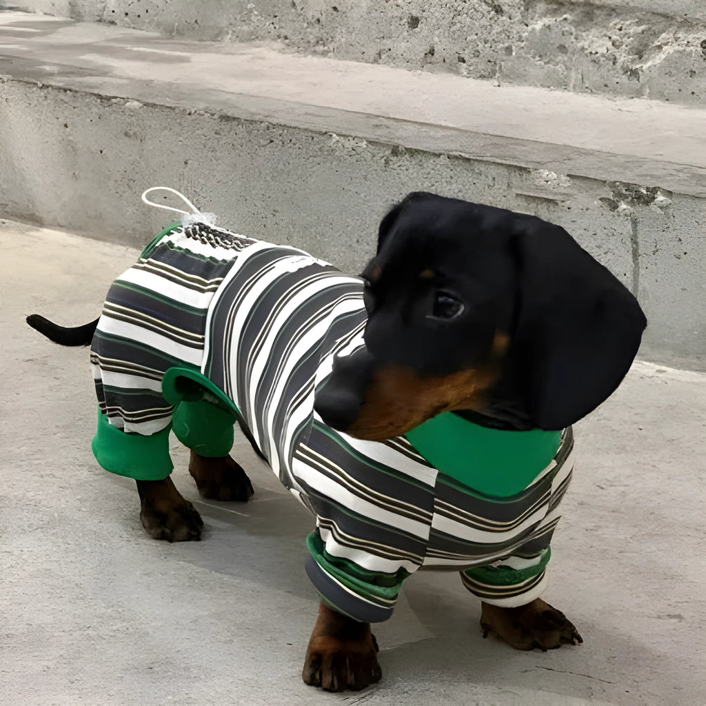 Warm striped dog vest for autumn and winter pet clothing, available in sizes S to XXL