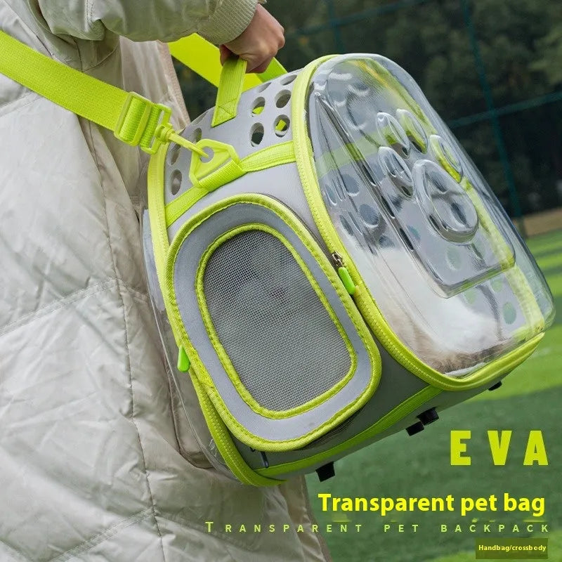Transparent EVA hard-shell cat backpack carrier in large 42cm size showing space capsule design