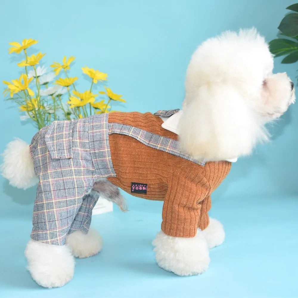 Orange cotton button-up shirt on a small dog, showing long sleeves and collar.