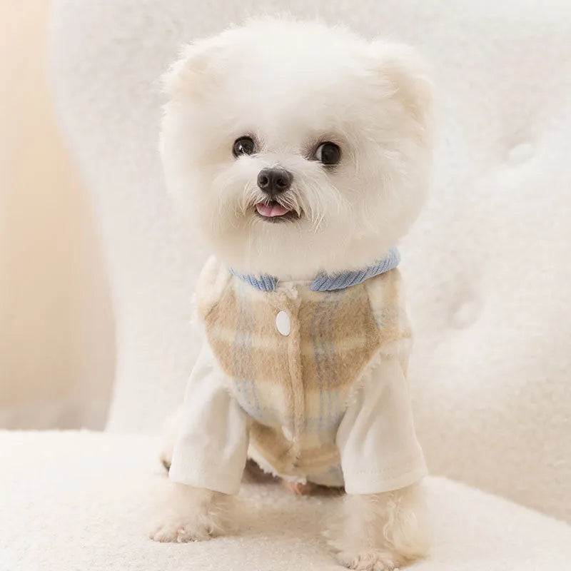 Blue corduroy chessboard pattern hooded vest for dog on size chart showing weights from 0.5kg to 10kg