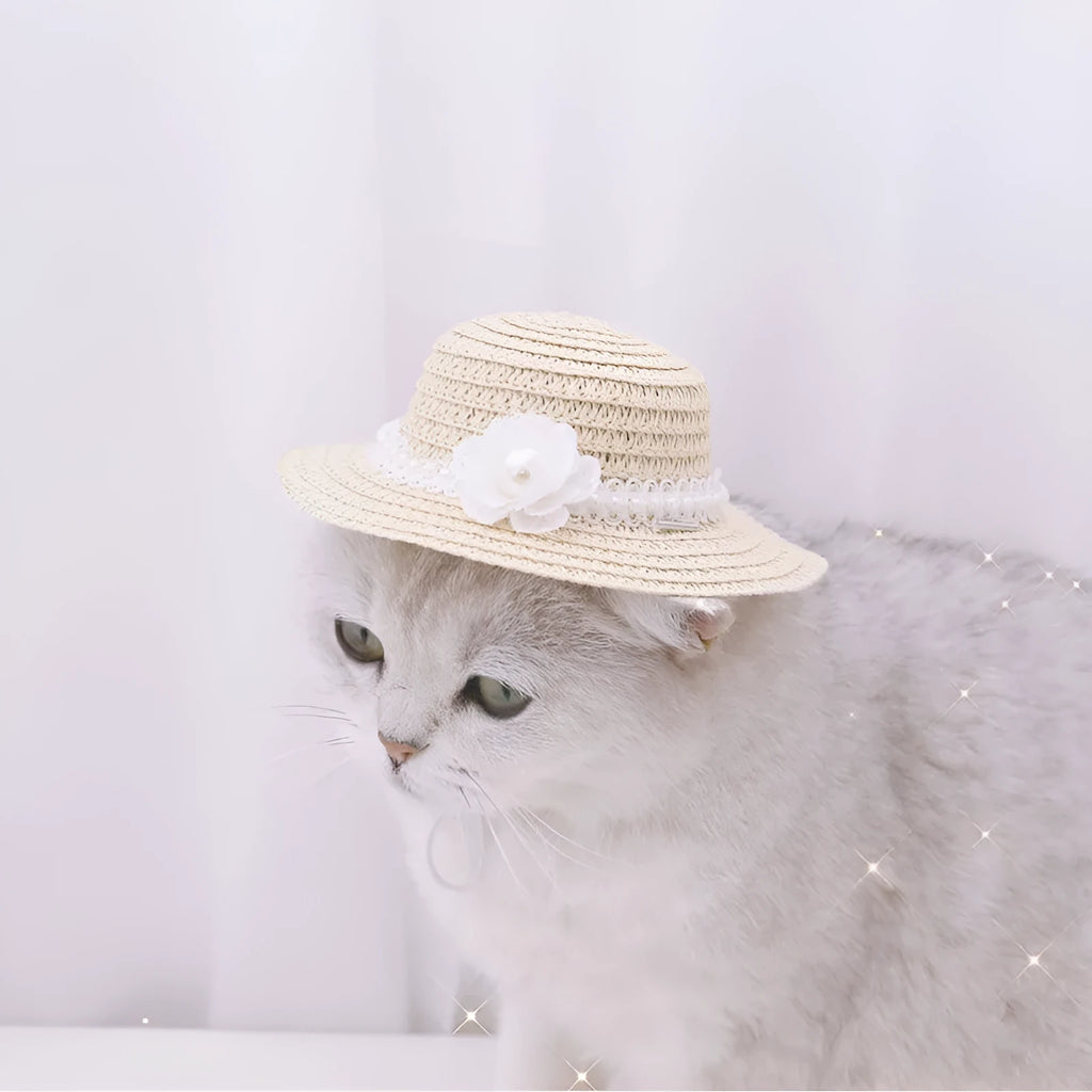 Handmade paper pet hat with adjustable bow knot for dogs and cats in cartoon style