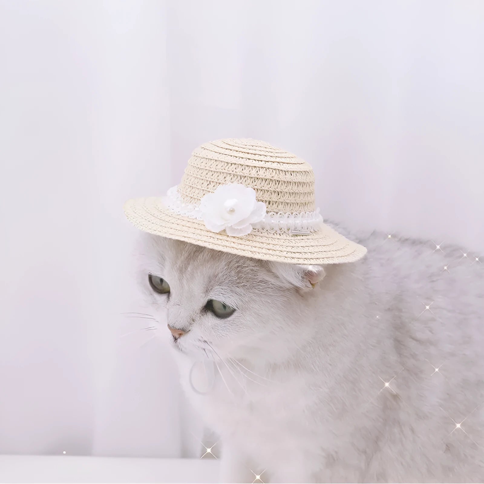 Handmade paper pet hat with adjustable bow knot for dogs and cats in cartoon style