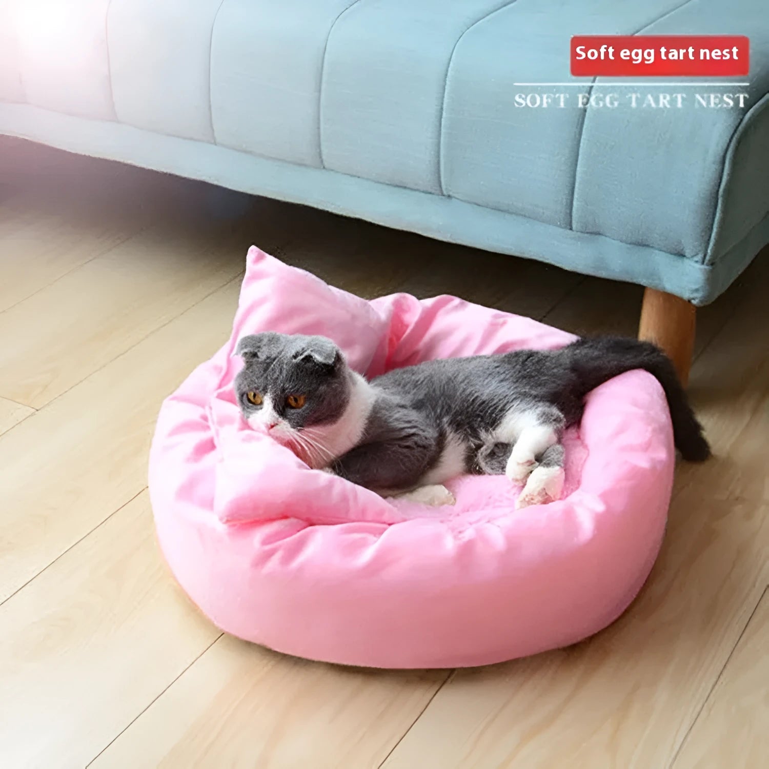 Round PP cotton filled pet bed in light gray with pillow option for dogs