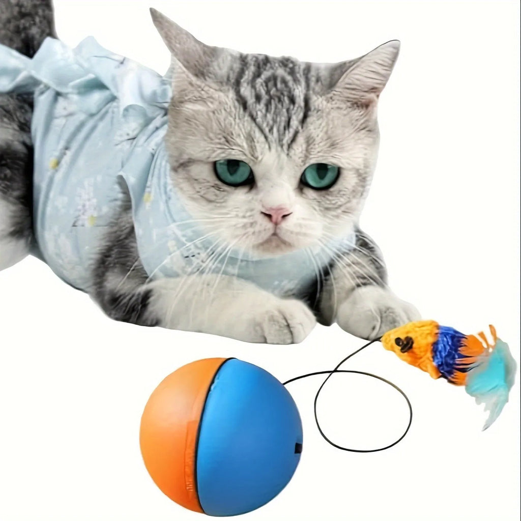 Interactive cat toy ball with attached plush mouse in blue and orange colour options