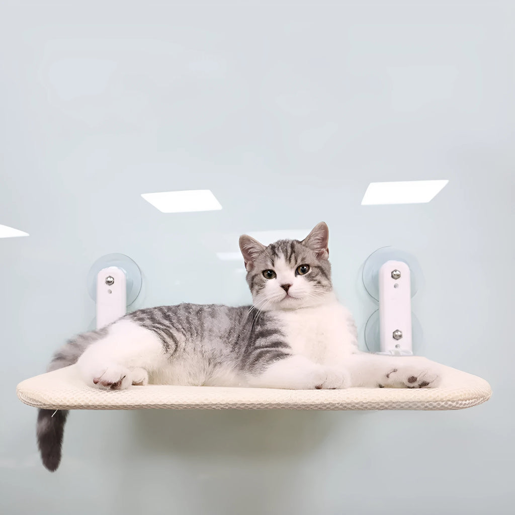Stainless steel cat hammock suction cup window attachment with foldable grey mesh seat cushion