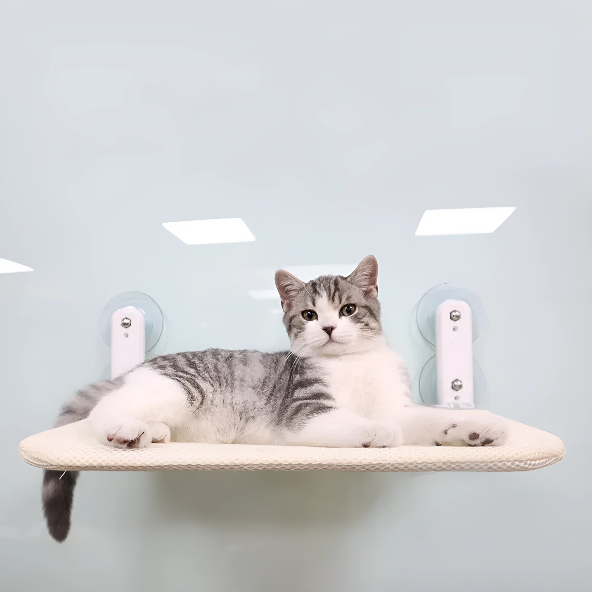 Stainless steel cat hammock suction cup window attachment with foldable grey mesh seat cushion