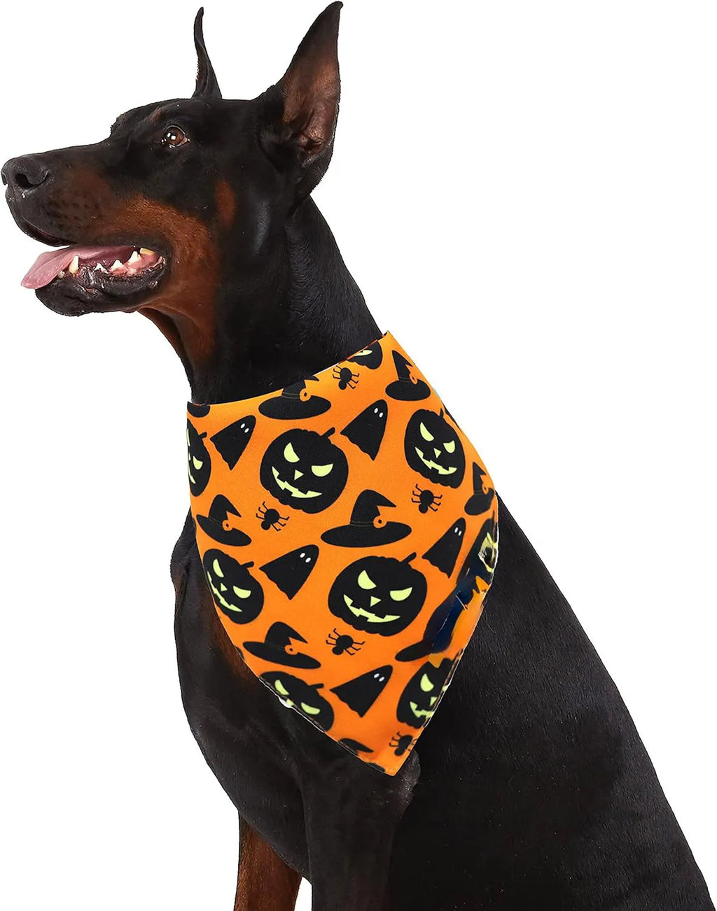 Halloween dog bandana with pumpkin and spider web patterns in black and orange colours