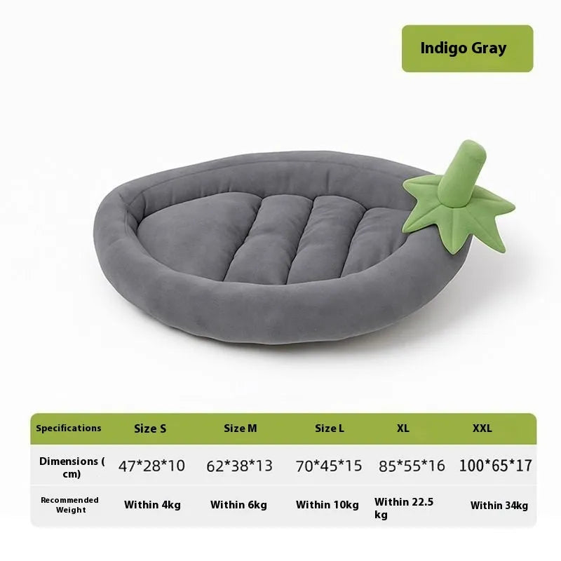 Removable washable dog mat in purple, brown, orange, and grey colours, shown in various sizes.