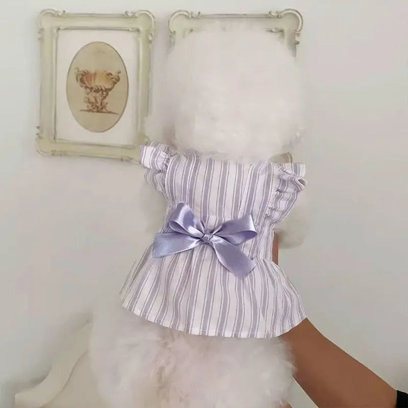 Purple dog dress with thin vest, bowknot, and striped skirt on light background