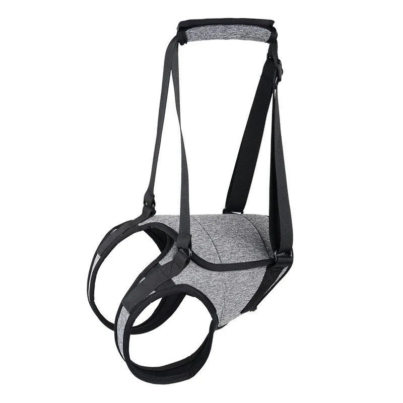 Grey neoprene recovery belt for injured dog rear legs showing waist and thigh support areas