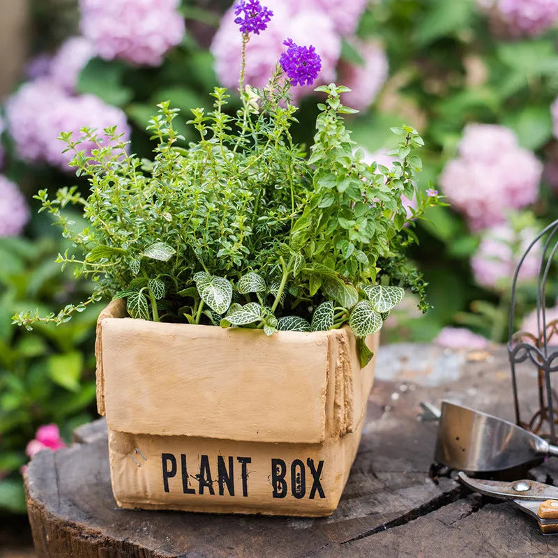 Cement brown paper box style flowerpot with bottom drainage holes for indoor planting
