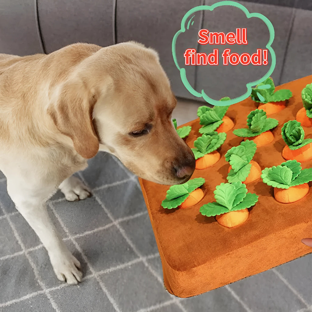 Orange carrot plush toy snuffle mat for dogs and cats with PP cotton filling, 35cm by 35cm, non-slip base